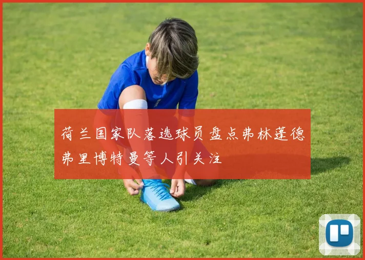荷兰国家队落选球员盘点弗林蓬德弗里博特曼等人引关注