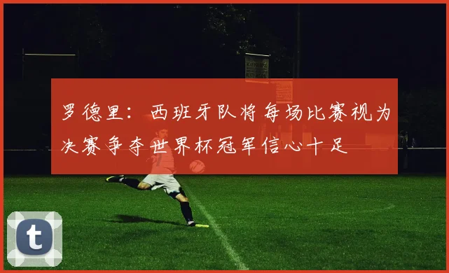 罗德里：西班牙队将每场比赛视为决赛争夺世界杯冠军信心十足